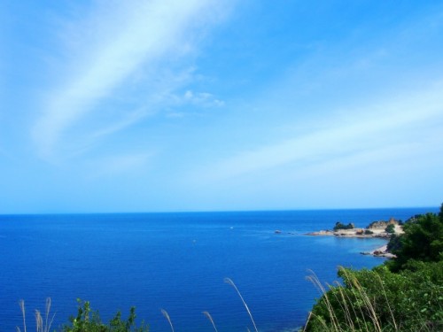 5290f68ff988baaafbadc54f7bfa4f7d_s