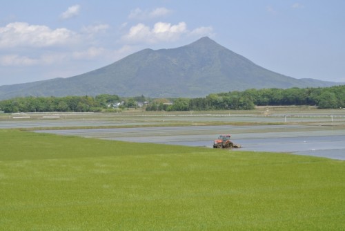 66cd0472b29ea5b9d0004aed496fecca_s